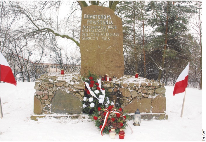 Pomnik w 100. rocznicę wybuchu powstania zbudowali własnymi siłami mieszkańcy okolicznych wsi: Słomczyna, Parceli i Cieciszewa