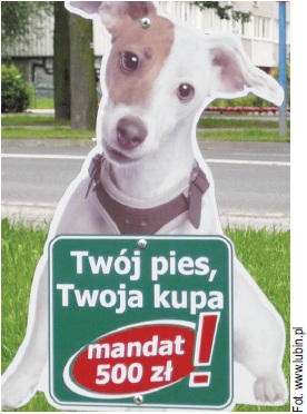 Pies z Lublina